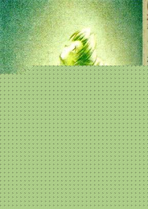 Next page